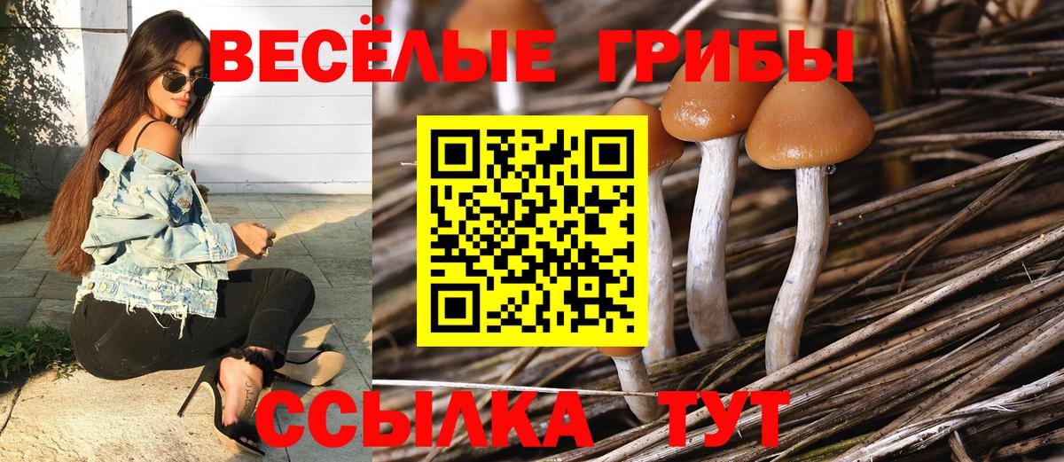 Псилоцибиновые грибы мицелий Коркино